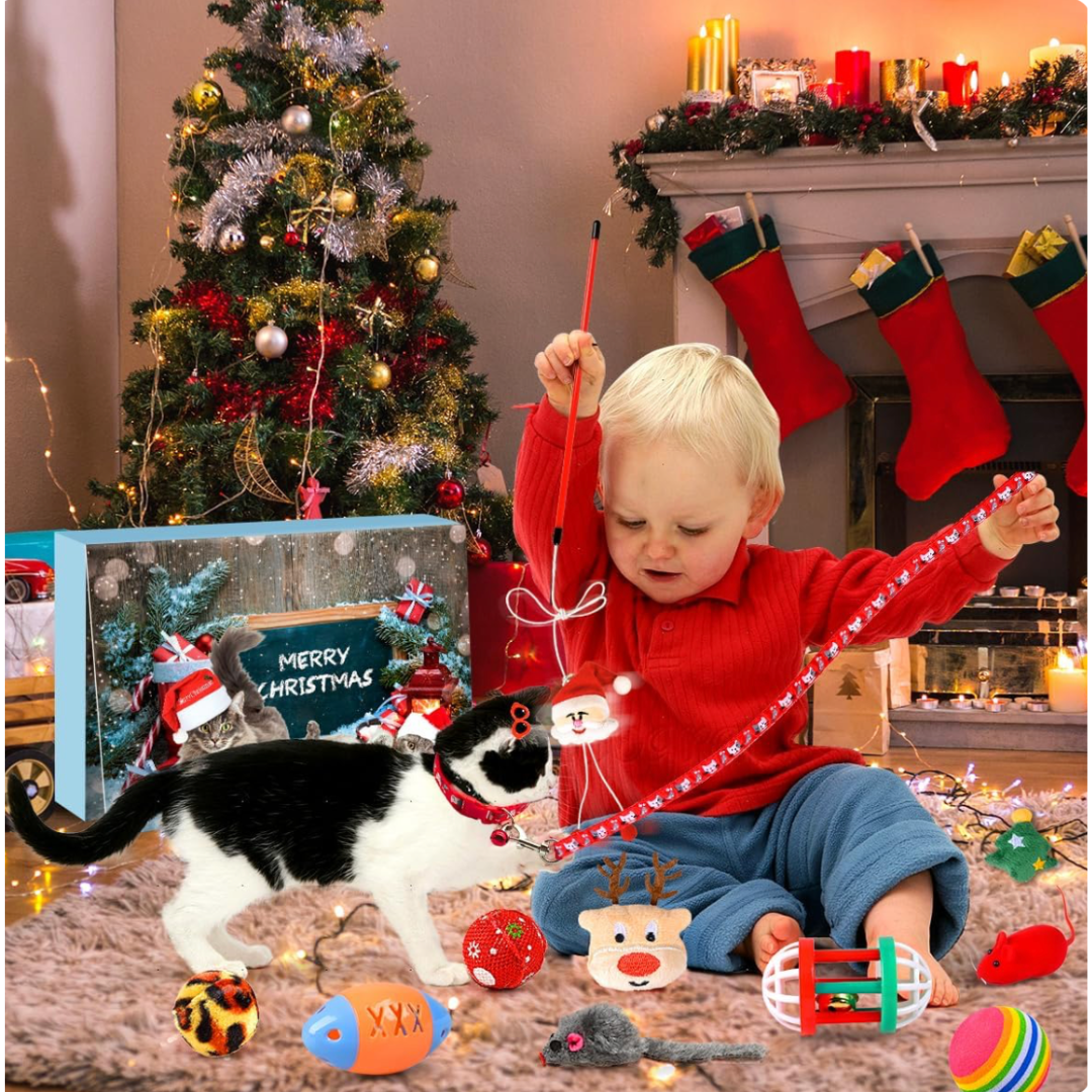 Calendario De Adviento Para Gatos