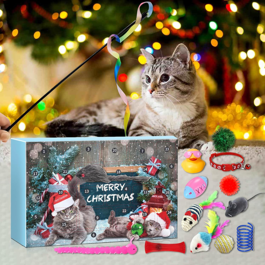 Calendario De Adviento Para Gatos